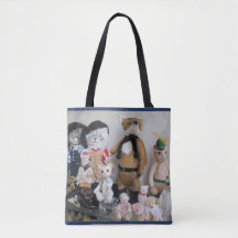 La bolsa de asas de los gatos