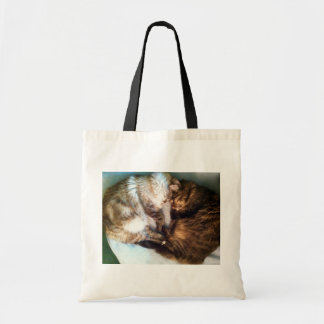 La bolsa de asas de los gatos el dormir