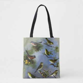 La bolsa de asas de los pájaros