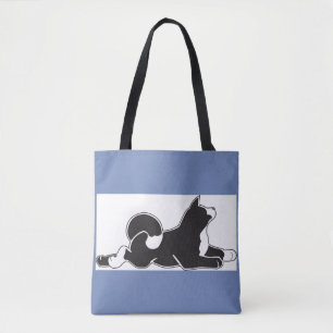 La bolsa de asas de MARTE