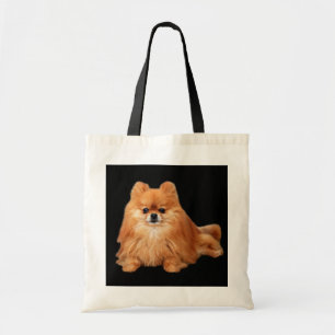 La bolsa de asas de Pomeranian