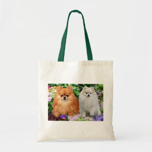 La bolsa de asas de Pomeranians
