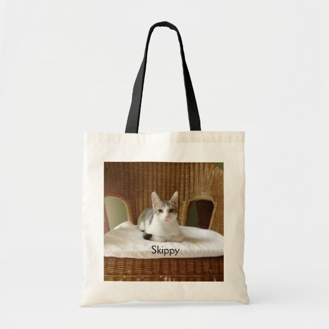 LA BOLSA DE ASAS DE SKIPPY (Frente)