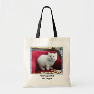 La bolsa de asas de TEAGUE