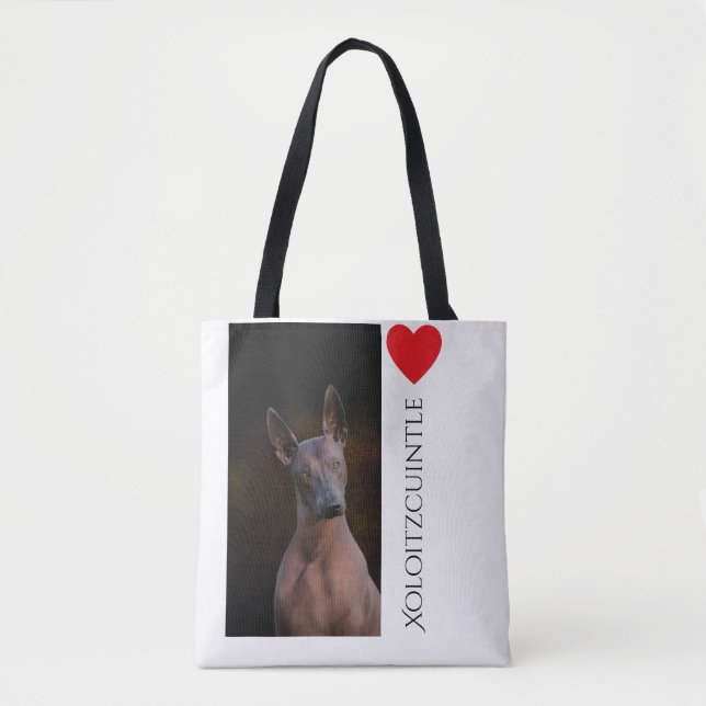 La bolsa de asas de Xoloitzcuintle (Anverso)