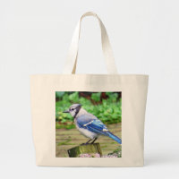 La bolsa de asas del arrendajo azul