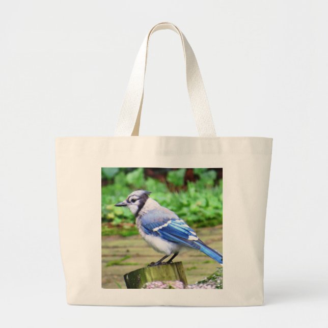 La bolsa de asas del arrendajo azul (Frente)