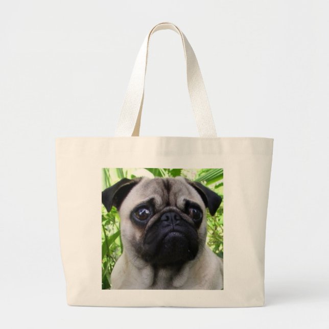 La bolsa de asas del barro amasado (Frente)