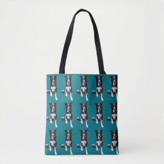 La bolsa de asas del border collie