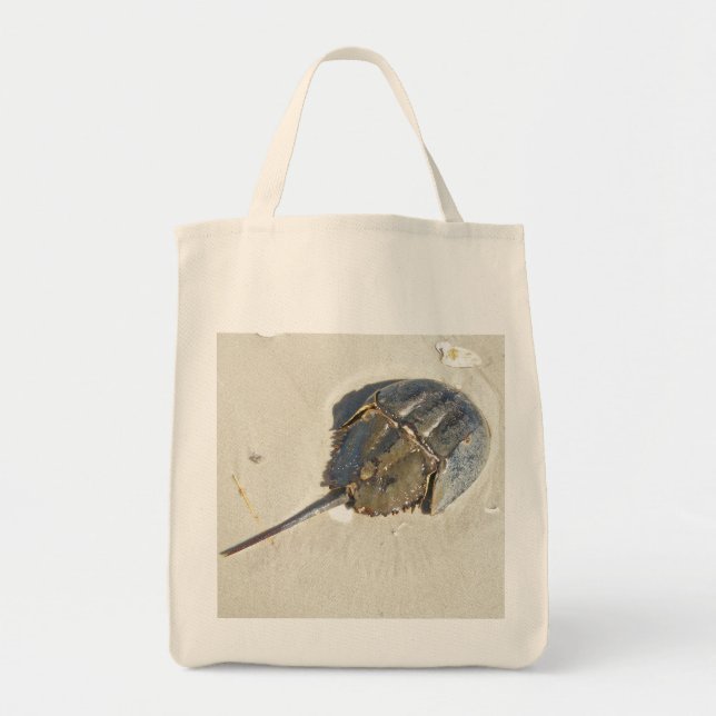 La bolsa de asas del cangrejo de herradura (Frente)