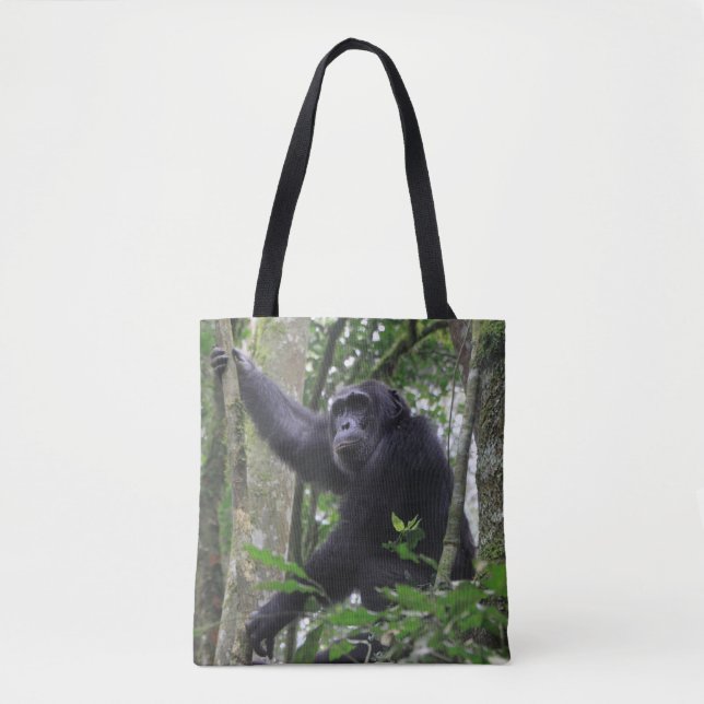 La bolsa de asas del chimpancé (Anverso)