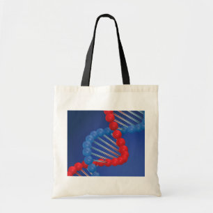 La bolsa de asas del filamento de la DNA