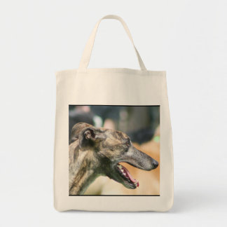 La bolsa de asas del galgo