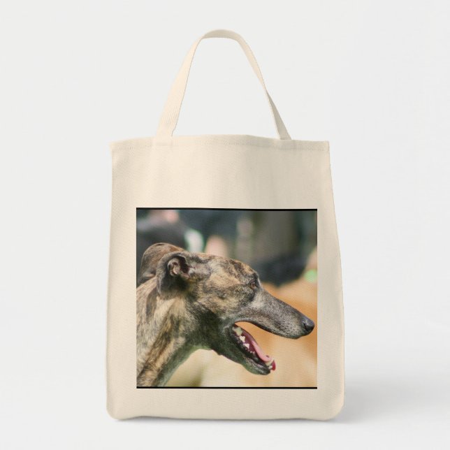 La bolsa de asas del galgo (Frente)