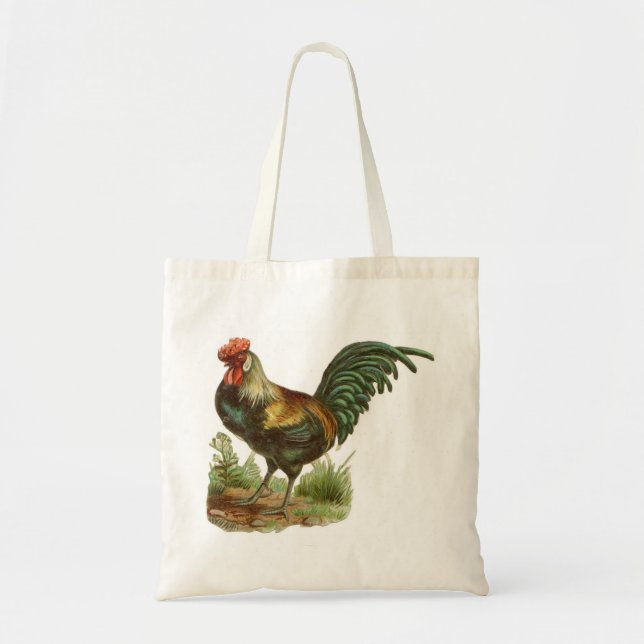 La bolsa de asas del gallo (Frente)