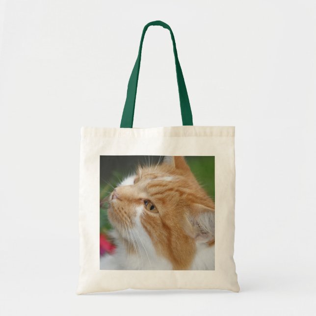 La bolsa de asas del gato (Frente)