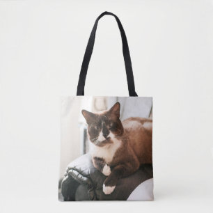 La bolsa de asas del gato