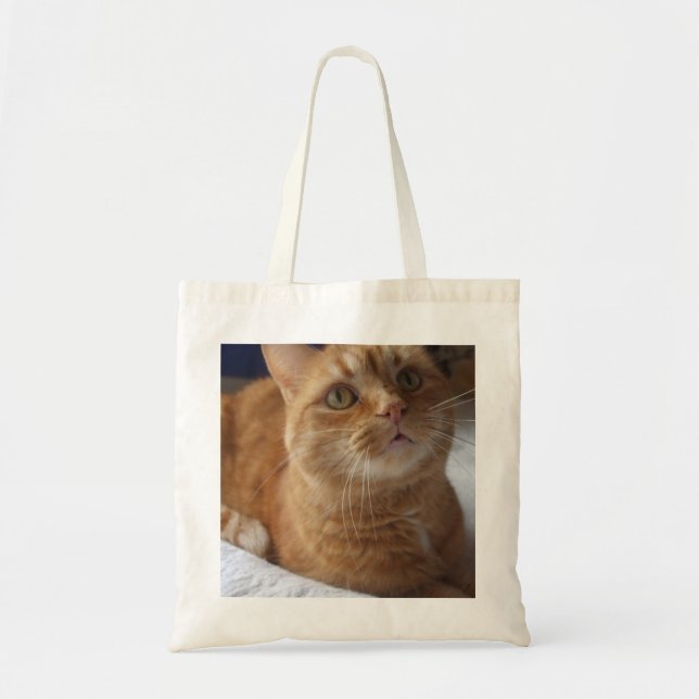 La bolsa de asas del gato del jengibre (Frente)