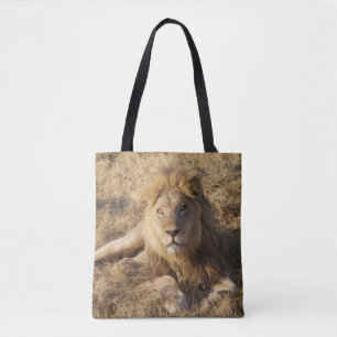 La bolsa de asas del león
