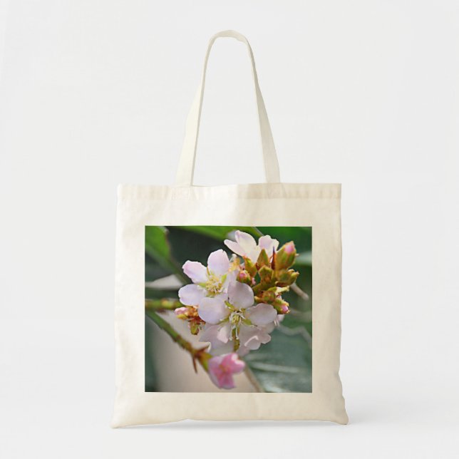 La bolsa de asas del Oleander (Frente)