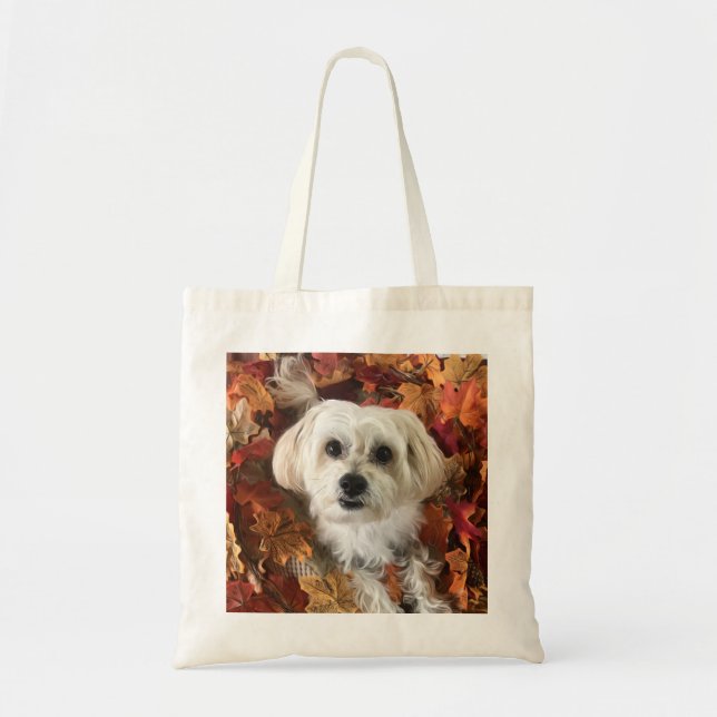 La bolsa de asas del otoño de Morkie (Frente)