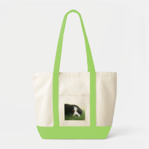 La bolsa de asas del perrito de Bernese