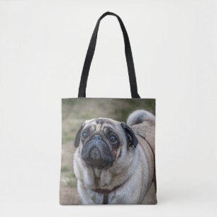 La bolsa de asas del perro del barro amasado