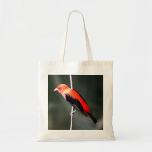 La bolsa de asas del presupuesto del Tanager de