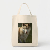 La bolsa de asas del ultramarinos del lobo