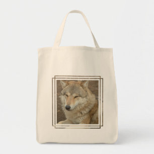 La bolsa de asas del ultramarinos del lobo