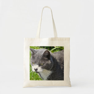 La bolsa de asas gris hermosa del gato