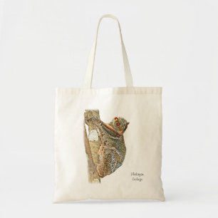 La bolsa de asas malaya del Colugo