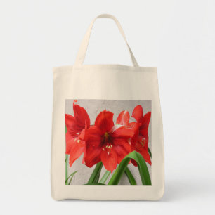 La bolsa de asas roja del ultramarinos del