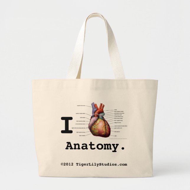 La bolsa de la anatomía del corazón (Frente)