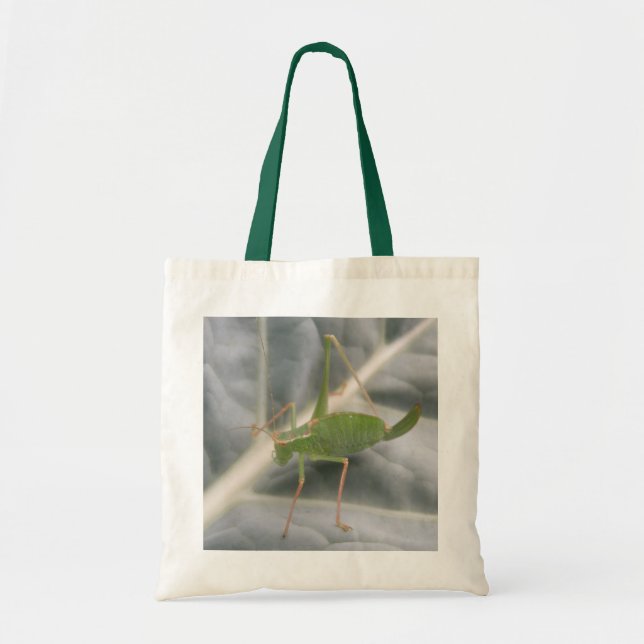 La bolsa de oro del grillo verde (Frente)