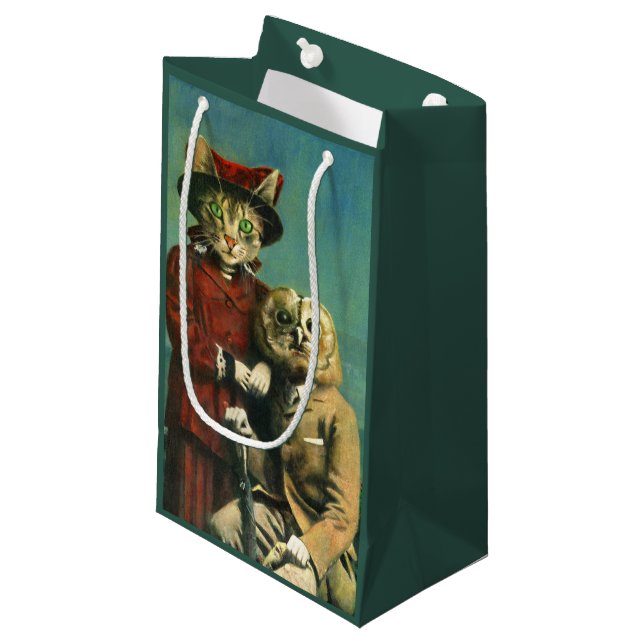 La Bolsa De Regalo De Búho Y Gato Pussy (Angulo Anverso)