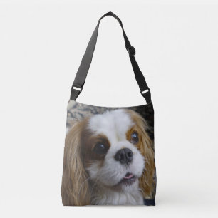 La bolsa para transportar cadáveres arrogante de