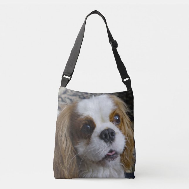 La bolsa para transportar cadáveres arrogante de (Anverso)