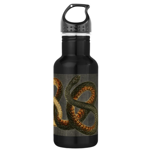 La botella de agua de la serpiente Coachwhip (Anverso)