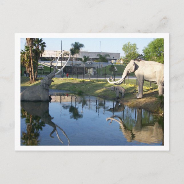 LA BREA TAR PITS #1 postal (Anverso)