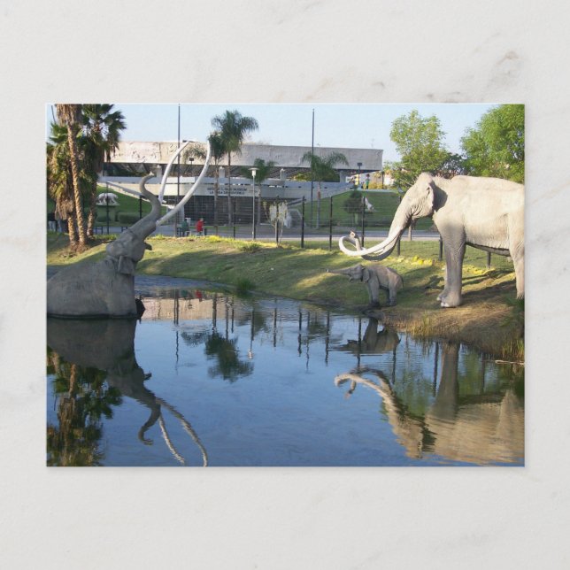 LA BREA TAR PITS #2 postal (Anverso)