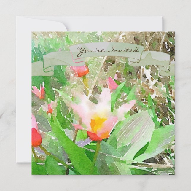 La brillante invitación de Kaufmanniana a los tuli (Anverso)