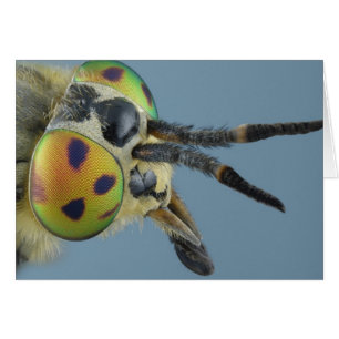 La cabeza de ciervos vuela