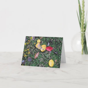 La caída colorea la tarjeta de condolencia