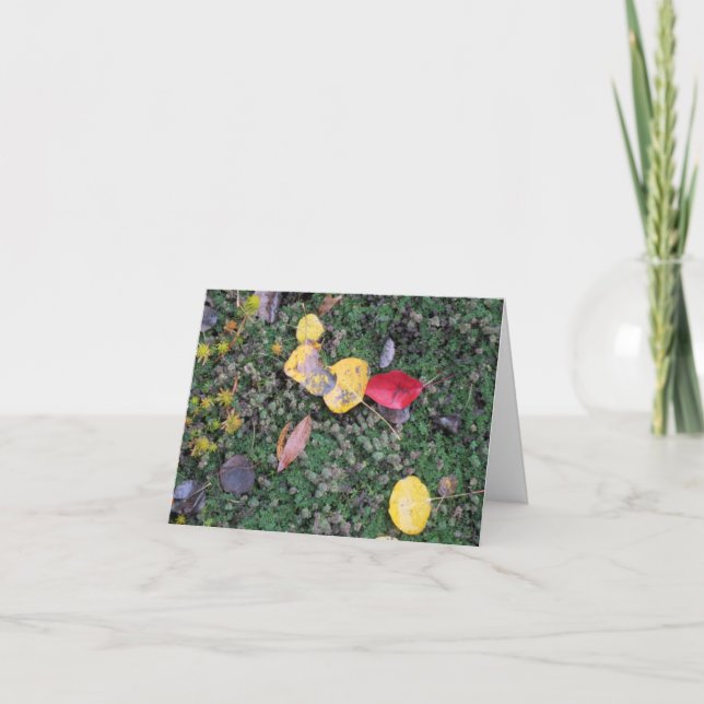 La caída colorea la tarjeta de condolencia (Anverso)