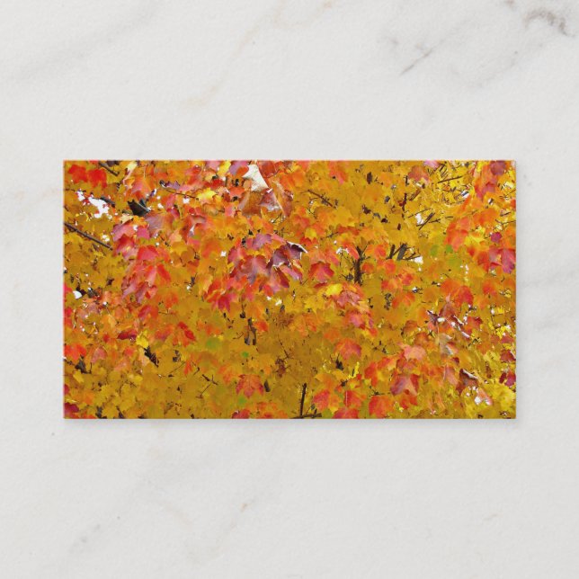 La caída deja las tarjetas de visita, hojas de (Anverso)