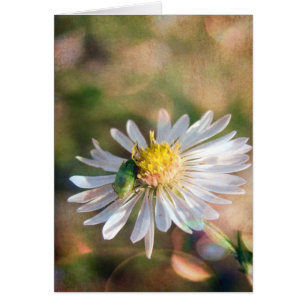 La caída está aquí