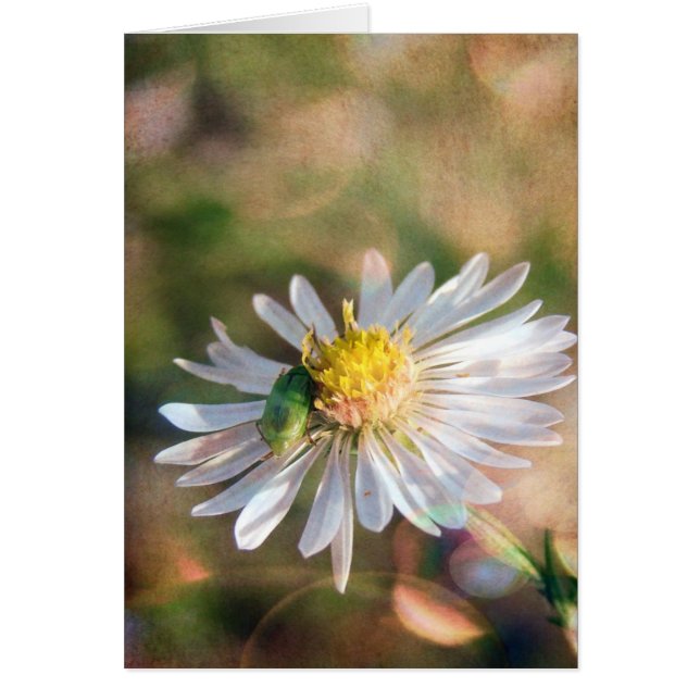 La caída está aquí (Frente)