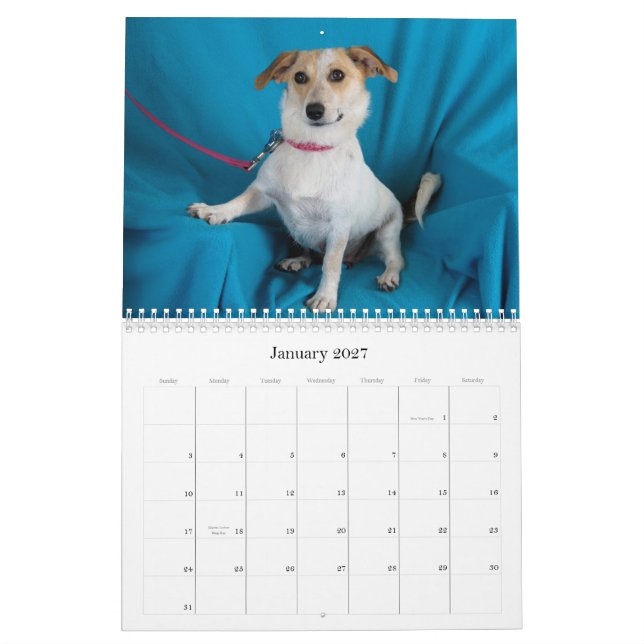 La caja fuerte da el calendario 2015 (Jan 2027)