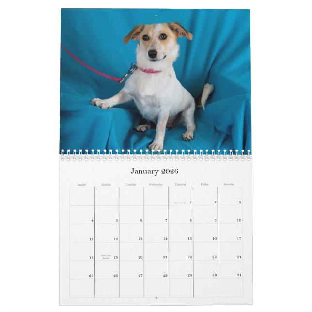 La caja fuerte da el calendario 2015 (Jan 2026)